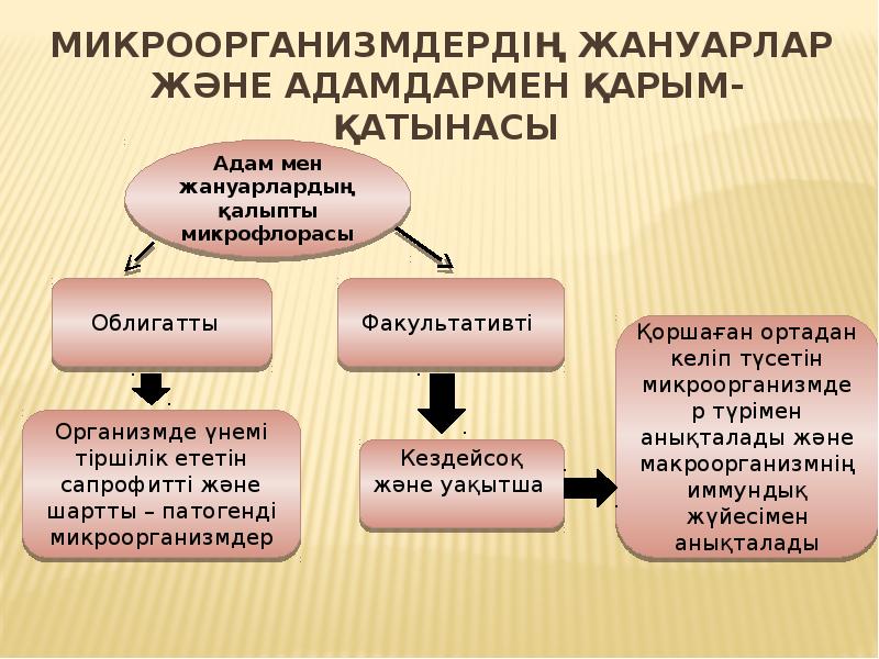 Шаруашылықты ұйымдастырудың аумақтық факторлары презентация