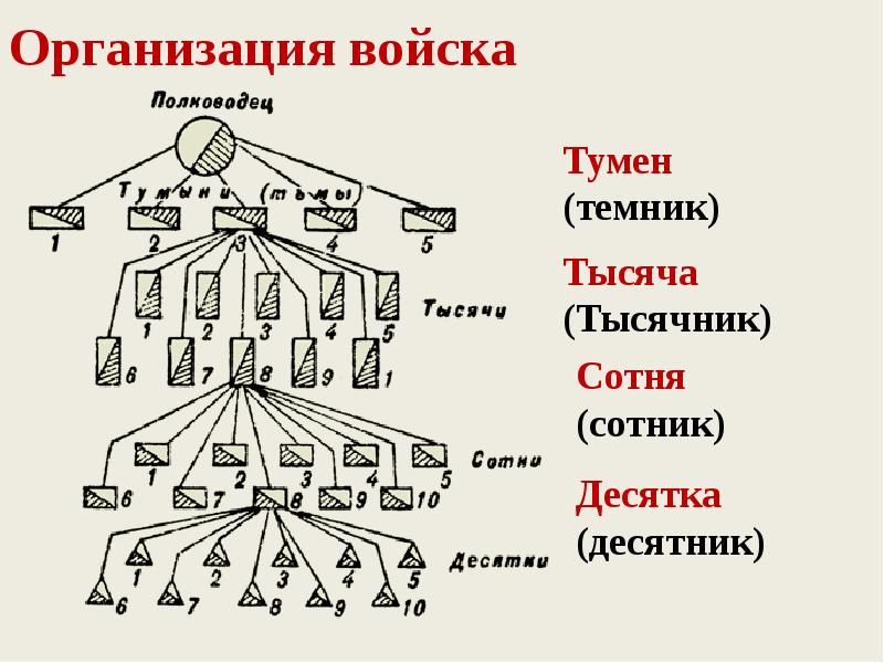 Организация войска