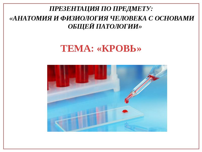 Презентация по предмету