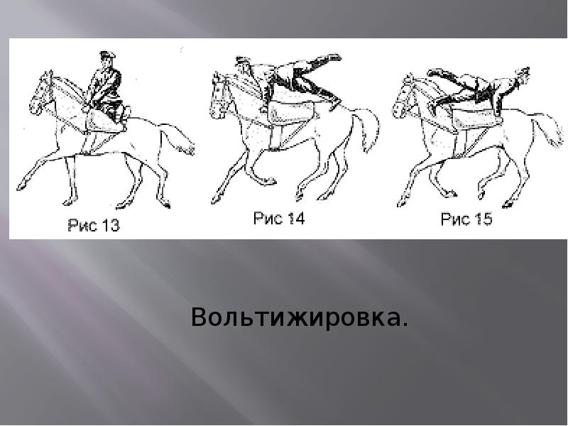 Физическая культура в средние века презентация