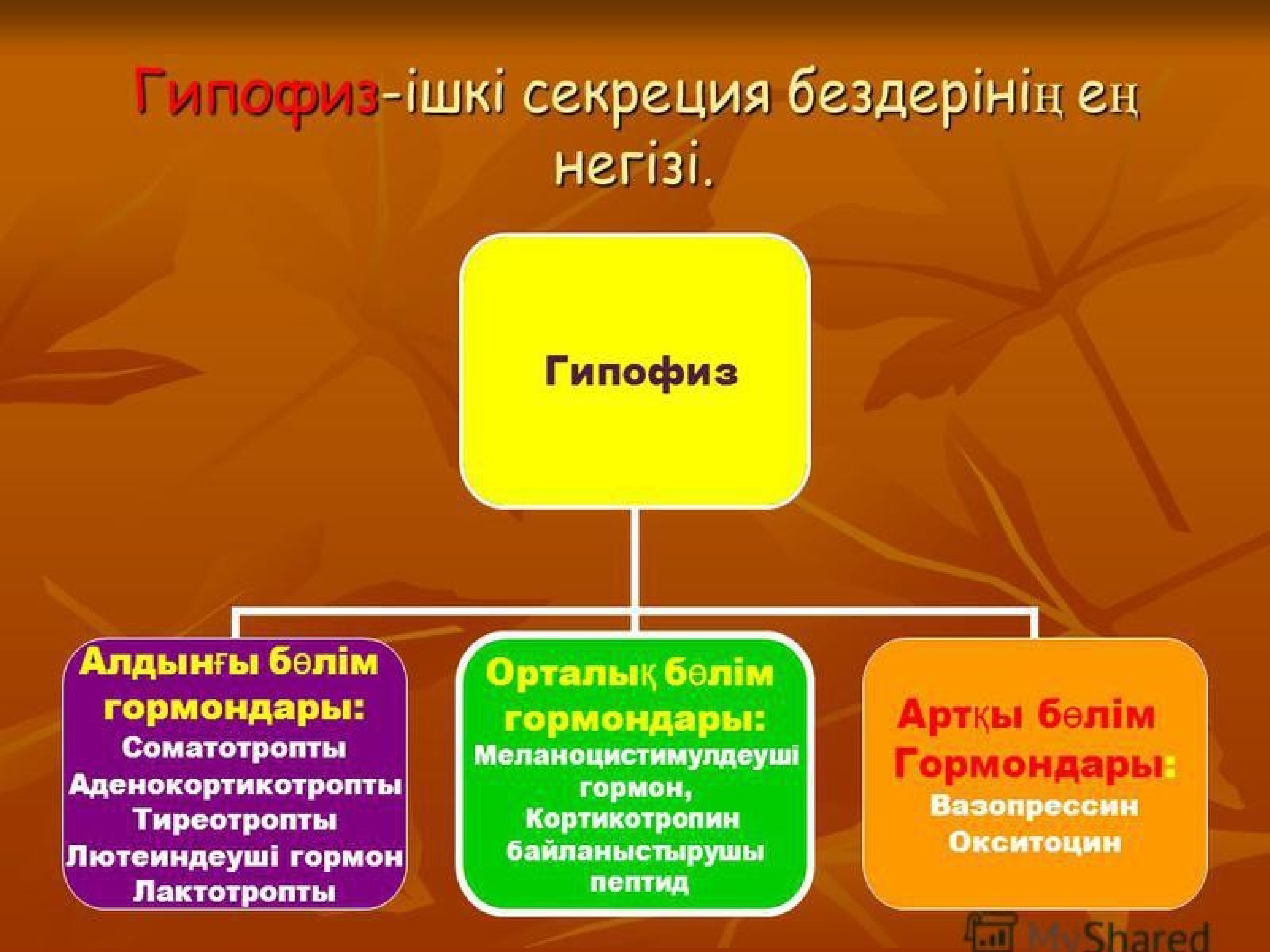 Ішкі секреция бездері презентация