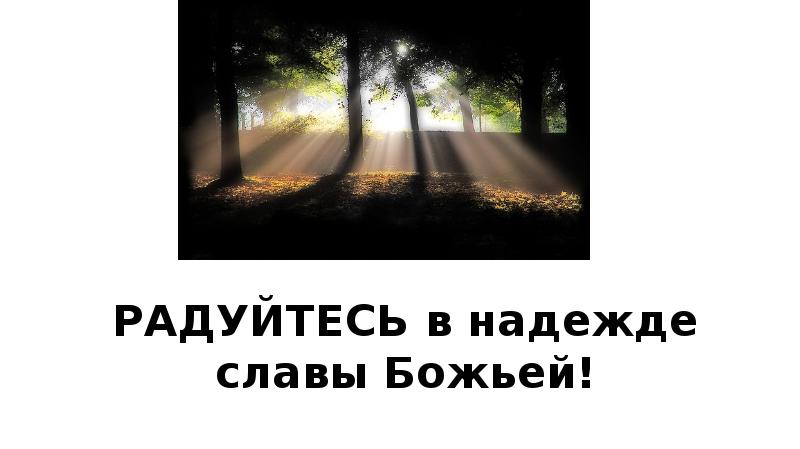 радуйтесь надежде. радуйтесь надежде. радоваться жизни счастью. счастье природа. четверостишие против наркотиков.