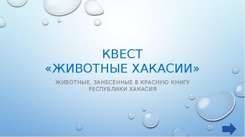 Картинки животные хакасии