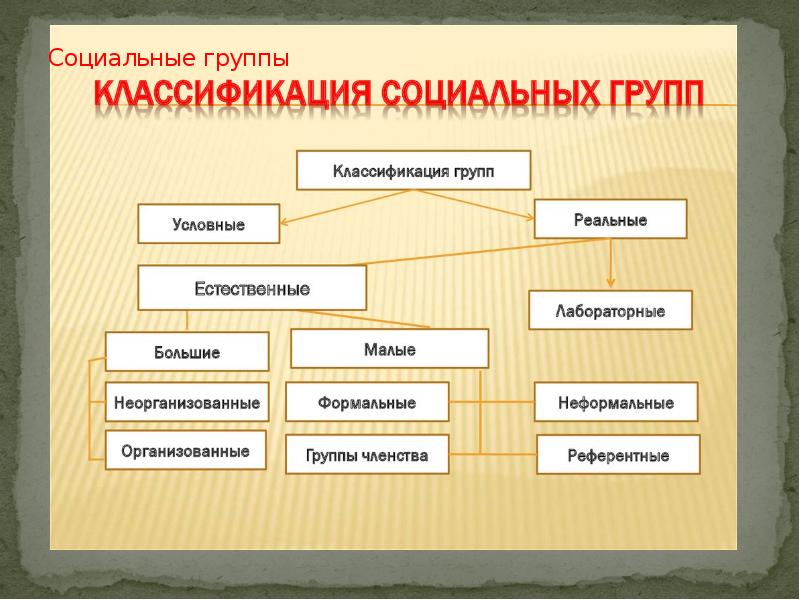 Социальная подгруппа. Социальная подгруппа