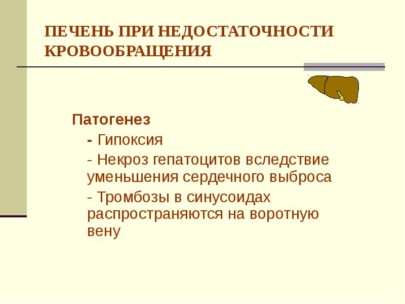 Патогенез недостаточности кровообращения