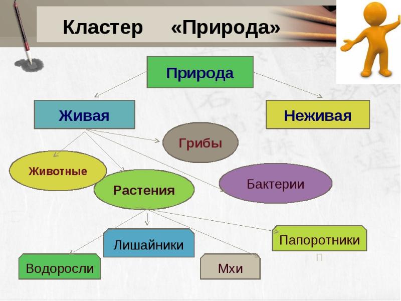 Лесной кластер презентация