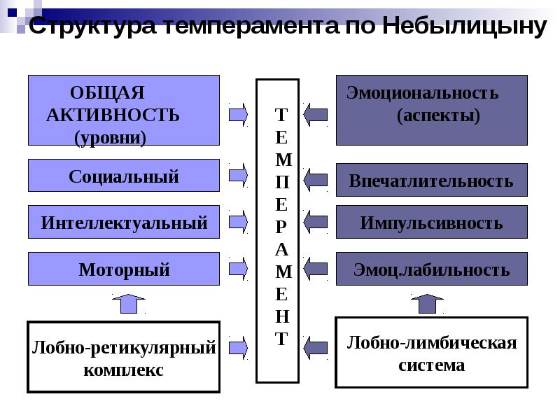 Психогенетические исследования темперамента презентация