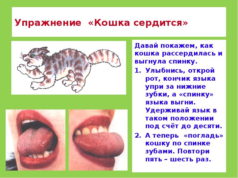 Упражнение «Кошка сердится»