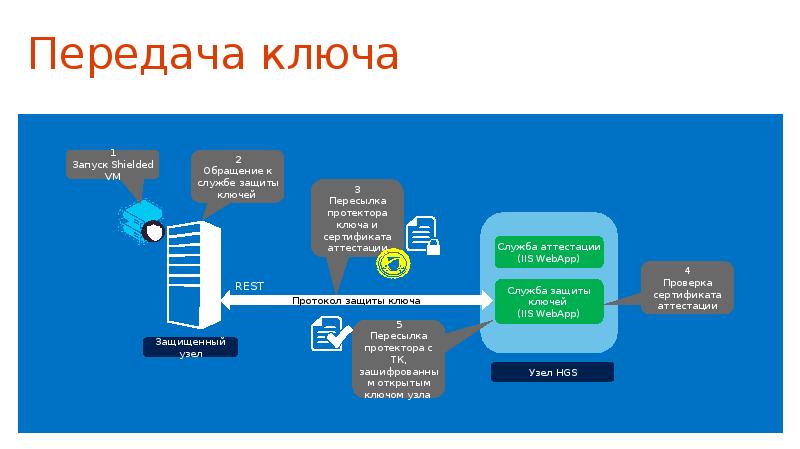 Протокол защиты проектов