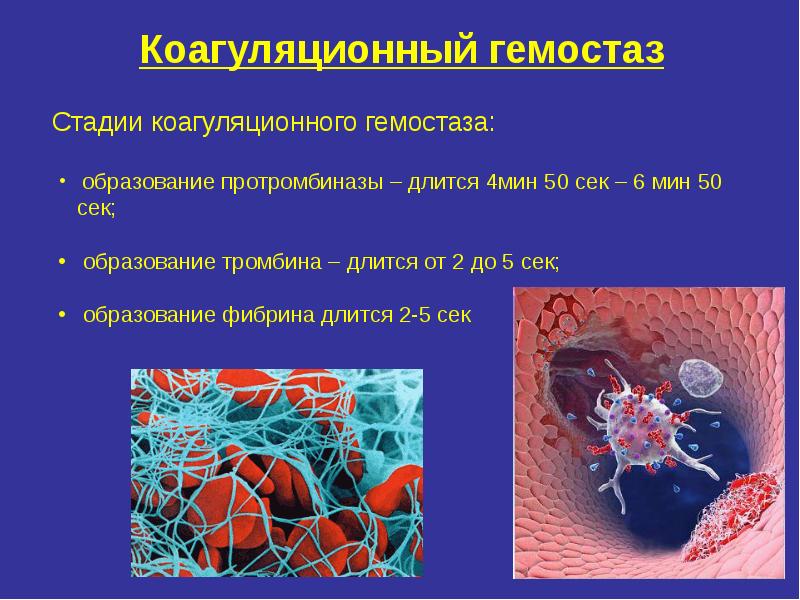 Патология гемостаза презентация