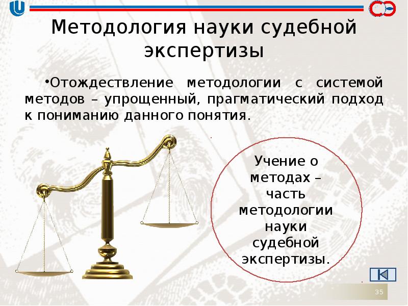 Судебная наука. Концепции науки о судебной экспертизе. Отождествление права и закона какой подход. Какой подход к праву предполагает отождествление права и закона. Макет презентации судебная экспертиза ННГУ.