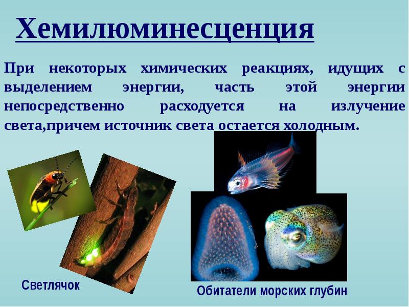 Хемилюминесценция презентация по физике