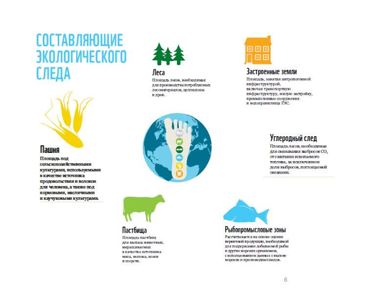 Экологический проект экологический след