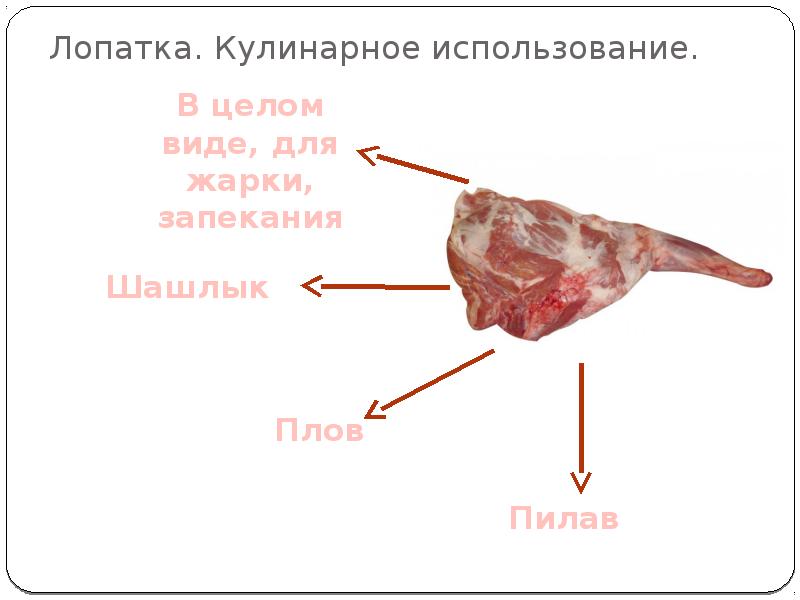 Лопатка часть говядины. Передняя лопатка свинины. Лимфатические узлы в мясе свинины. Лимфатические узлы в баранине.