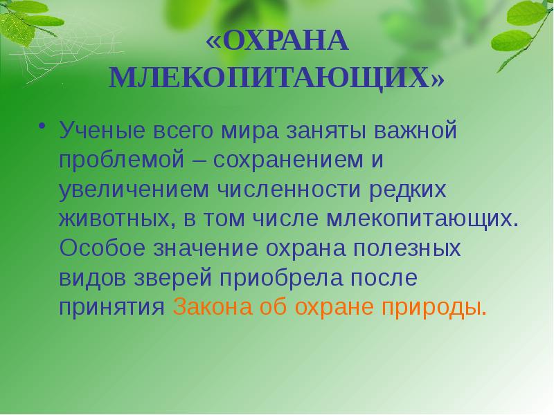 Что значит итоговая. Охрана млекопитающих. Меры по охране исчезающих видов млекопитающих. Роль млекопитающих. Значение млекопитающих.