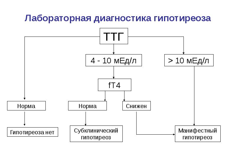 Картина крови при гипотиреозе