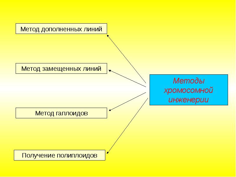 Презентация селекция растений пименов