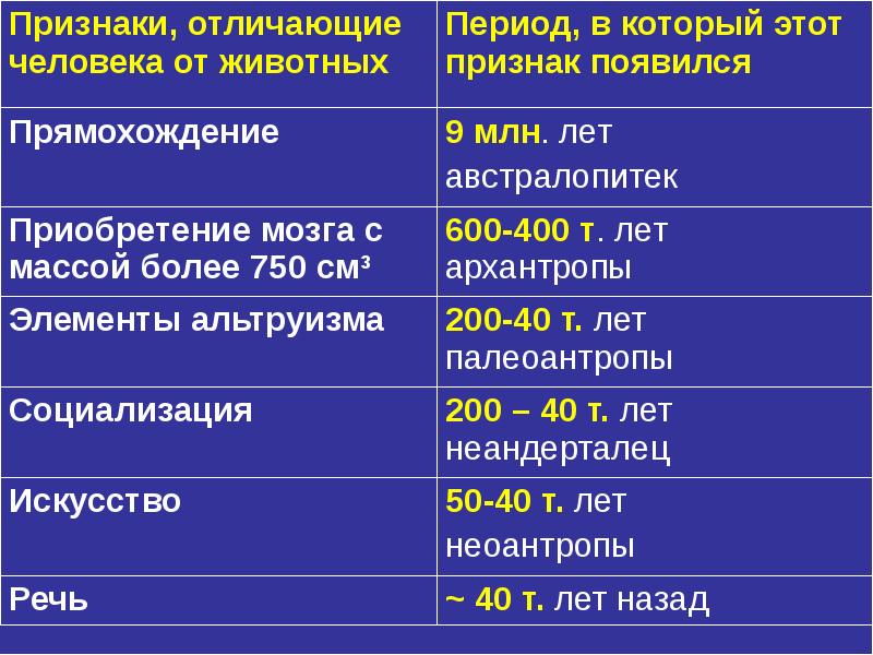 Презентация этапы антропогенеза человека