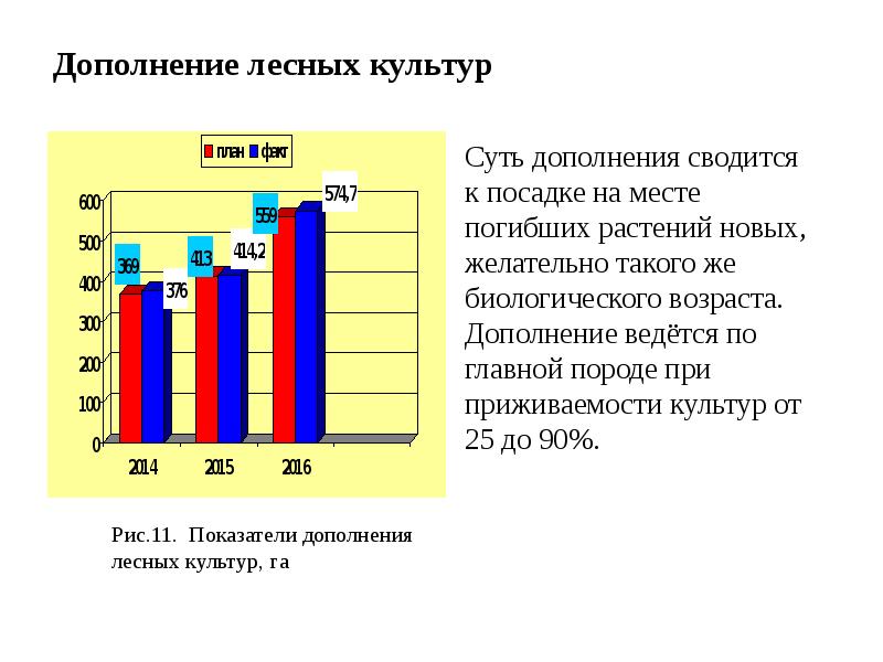 Культура оценок. Оценка лесных культур. Оценка качества лесных культур.