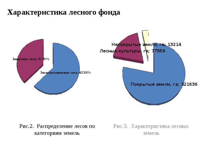 Характеристика лесного. Характеристика лесного фонда. Характеристика лесного фонда России. Оценка земель лесного фонда. Параметры лесного фонда.