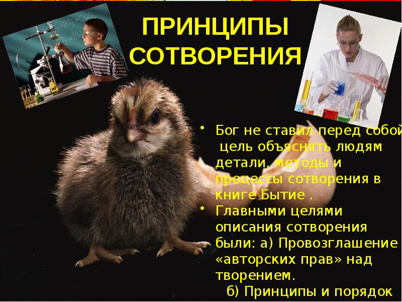 Принцип созидания в обществе. Философия средневековья термины. Тайна мироздания. Принцип творения. Законы мироздания.
