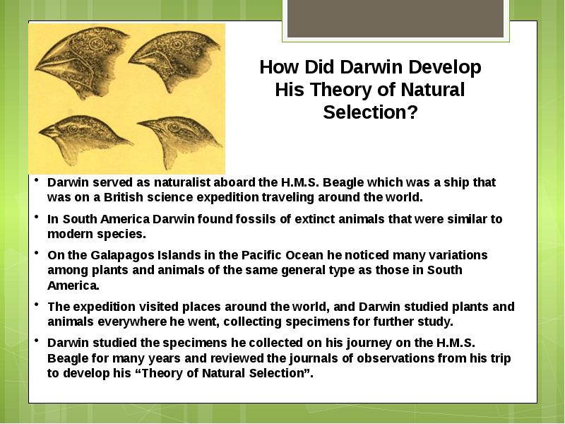 Charles Darwin The Theory of Natural Selection