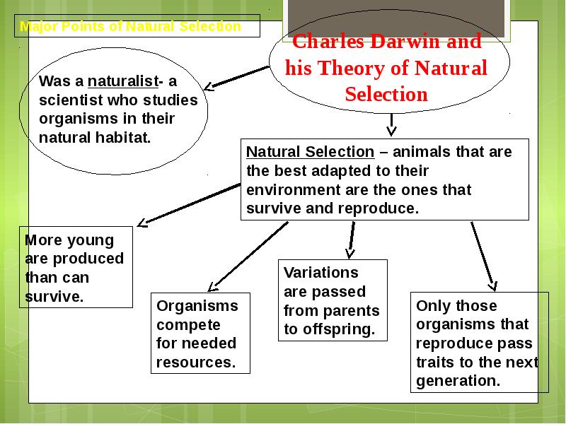 Charles Darwin The Theory of Natural Selection
