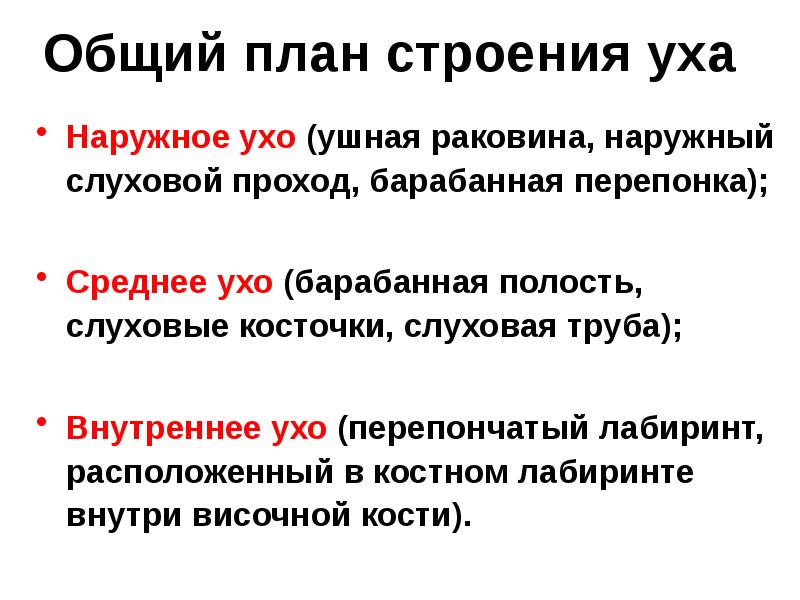 Общий план строения уха
Наружное ухо (ушная раковина, наружный слуховой проход, Общий план строения уха
Наружное ухо (ушная раковина, наружный слуховой проход,