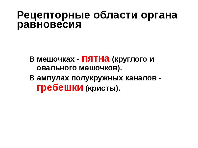 Рецепторные области органа равновесия
В мешочках - пятна (круглого и овального Рецепторные области органа равновесия
В мешочках - пятна (круглого и овального