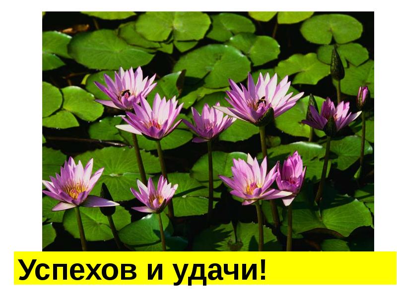 Успехов и удачи!