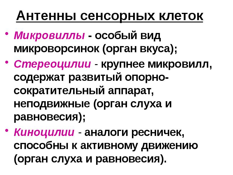 Антенны сенсорных клеток
Микровиллы - особый вид микроворсинок (орган вкуса);
Стереоцилии Антенны сенсорных клеток
Микровиллы - особый вид микроворсинок (орган вкуса);
Стереоцилии