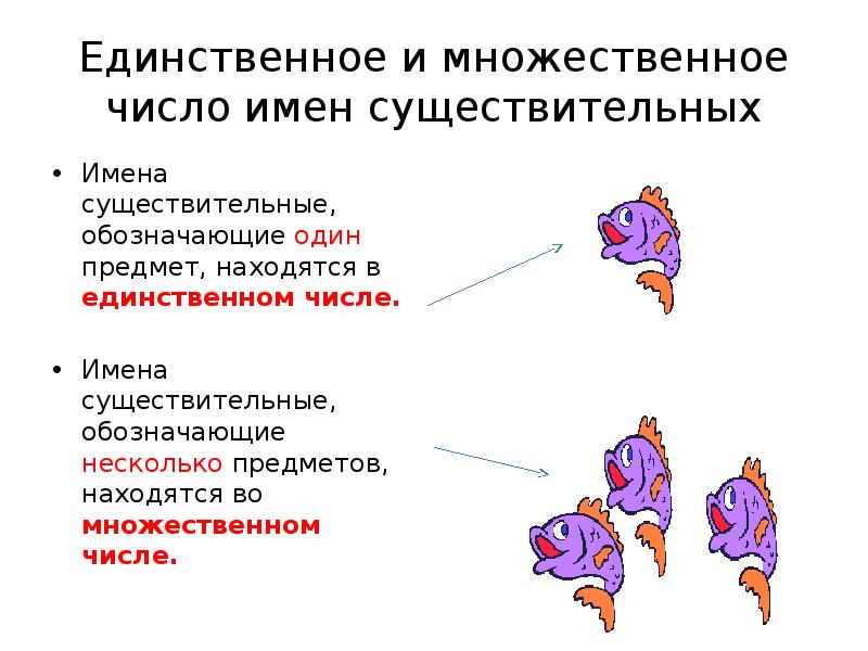 Единственное и множественное число имен существительных