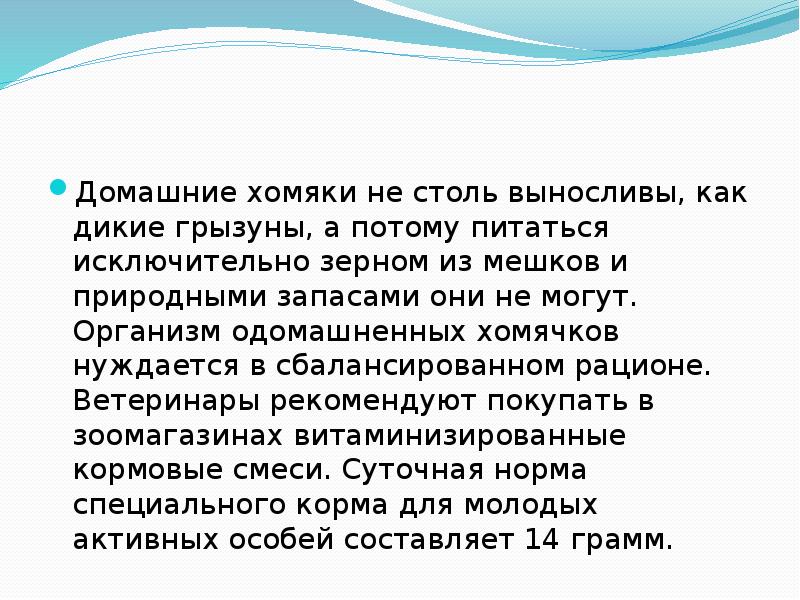 Домашние хомяки не столь выносливы, как дикие грызуны, а потому питаться Домашние хомяки не столь выносливы, как дикие грызуны, а потому питаться