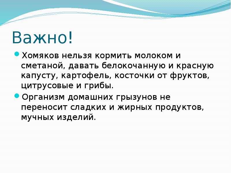 Важно!
Хомяков нельзя кормить молоком и сметаной, давать белокочанную и красную Важно!
Хомяков нельзя кормить молоком и сметаной, давать белокочанную и красную