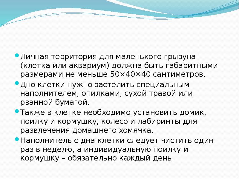 Личная территория для маленького грызуна (клетка или аквариум) должна быть габаритными Личная территория для маленького грызуна (клетка или аквариум) должна быть габаритными
