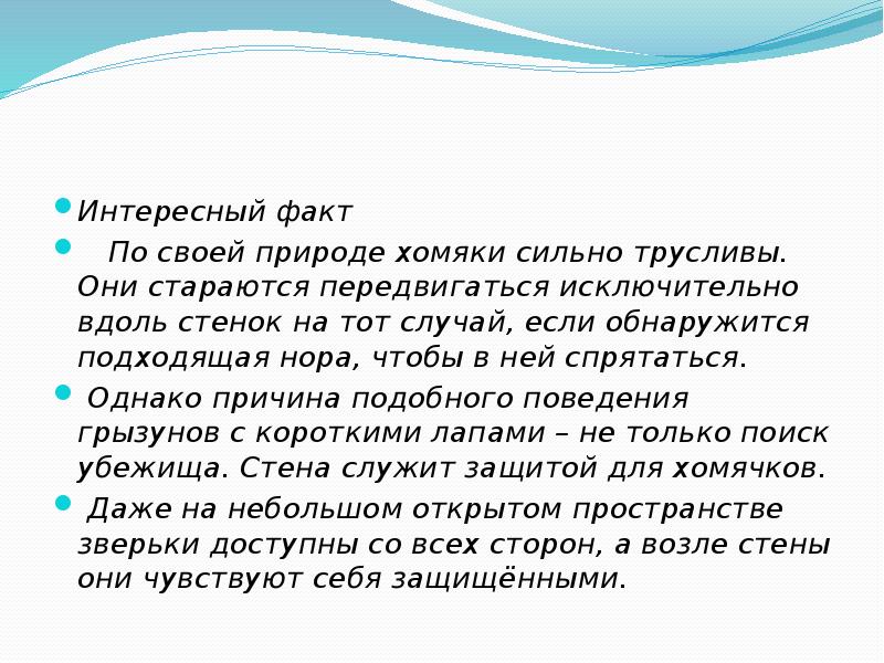 Интересный факт
По своей природе хомяки сильно трусливы. Они стараются передвигаться Интересный факт
По своей природе хомяки сильно трусливы. Они стараются передвигаться