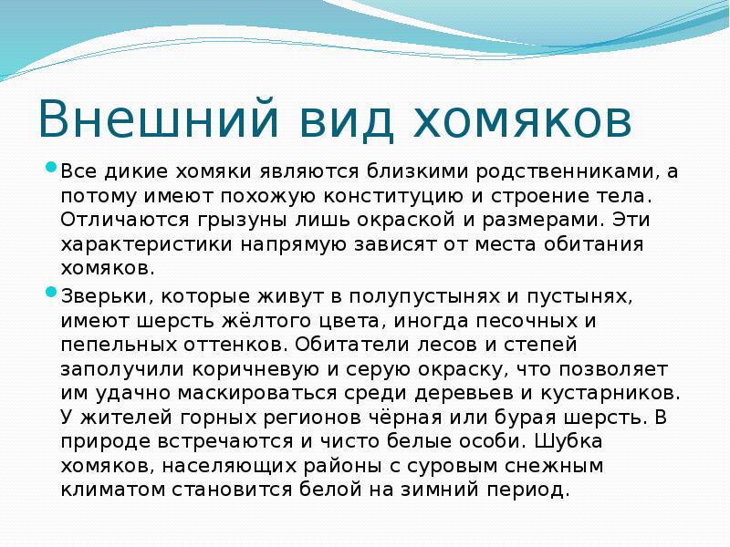 Внешний вид хомяков
Все дикие хомяки являются близкими родственниками, а потому Внешний вид хомяков
Все дикие хомяки являются близкими родственниками, а потому