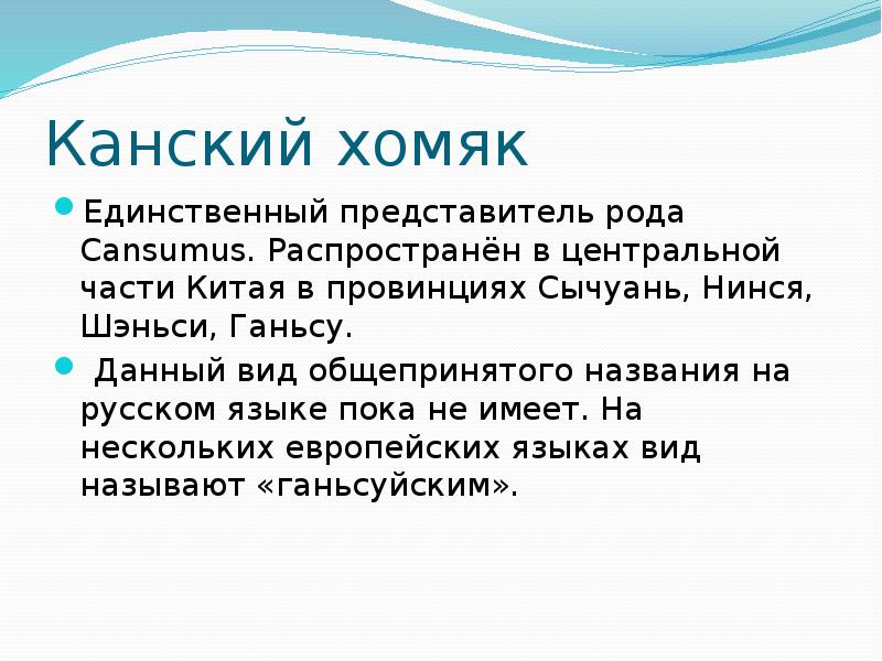 Канский хомяк
Единственный представитель рода Cansumus. Распространён в центральной части Китая Канский хомяк
Единственный представитель рода Cansumus. Распространён в центральной части Китая