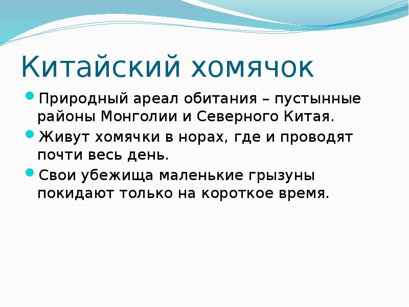 Китайский хомячок
Природный ареал обитания – пустынные районы Монголии и Северного Китайский хомячок
Природный ареал обитания – пустынные районы Монголии и Северного
