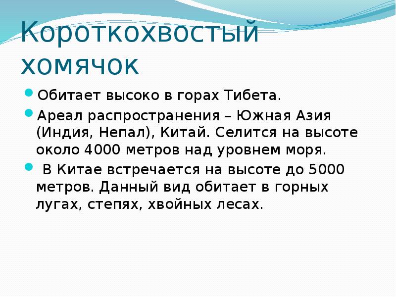 Короткохвостый хомячок
Обитает высоко в горах Тибета.
Ареал распространения – Короткохвостый хомячок
Обитает высоко в горах Тибета.
Ареал распространения –