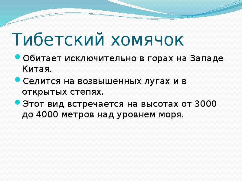 Тибетский хомячок
Обитает исключительно в горах на Западе Китая.
Селится Тибетский хомячок
Обитает исключительно в горах на Западе Китая.
Селится