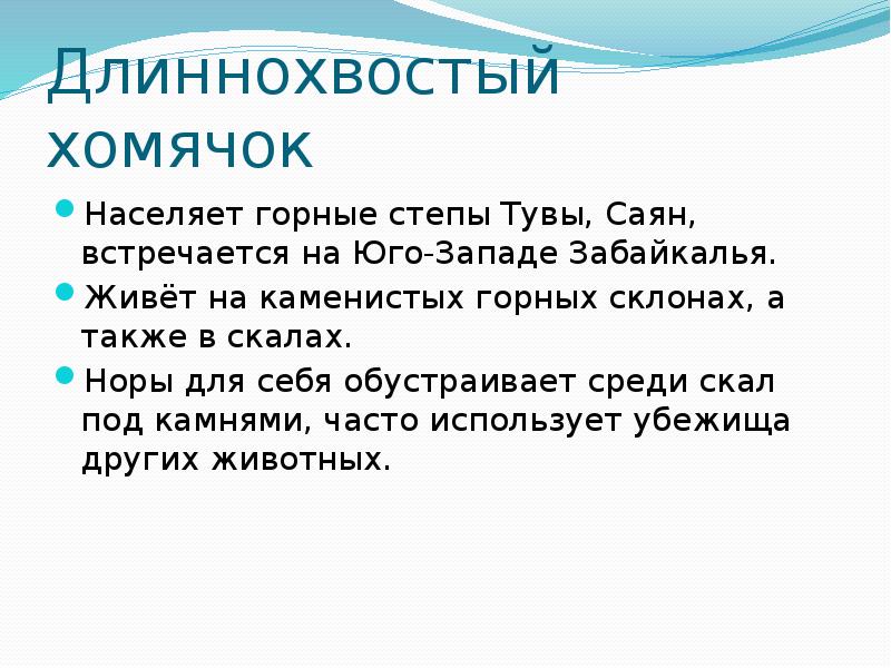 Длиннохвостый хомячок
Населяет горные степы Тувы, Саян, встречается на Юго-Западе Забайкалья. Длиннохвостый хомячок
Населяет горные степы Тувы, Саян, встречается на Юго-Западе Забайкалья.