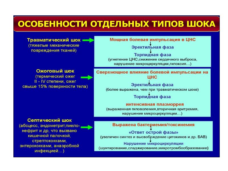 Общие реакции организма на повреждения презентация