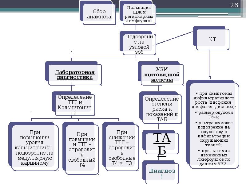 Диагностика щитовидной