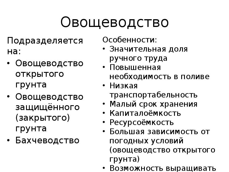 Отрасль овощеводства