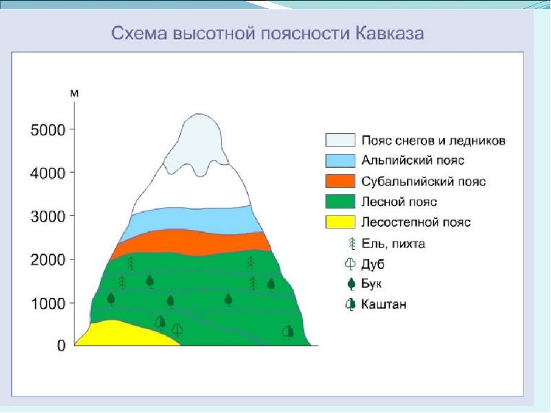 Схема высотной поясности урала