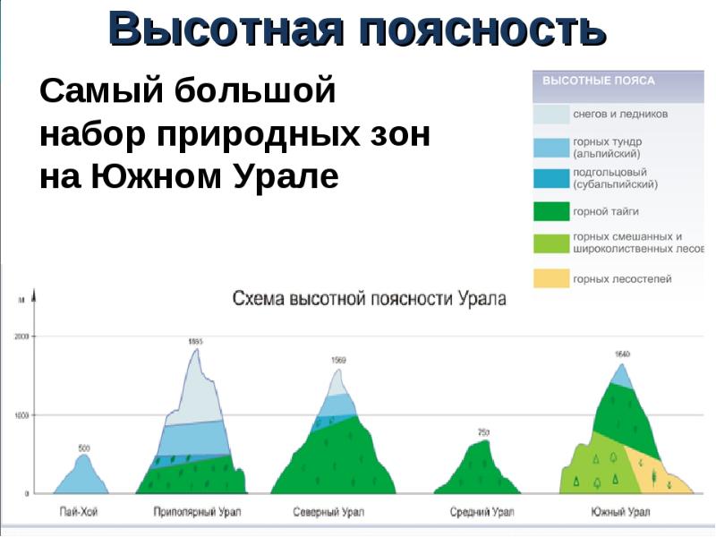 География 8 класс высотная поясность презентация 8 класс география