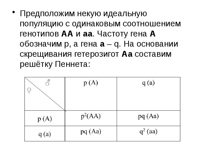 Презентация закон харди вайнберга популяции 11 класс