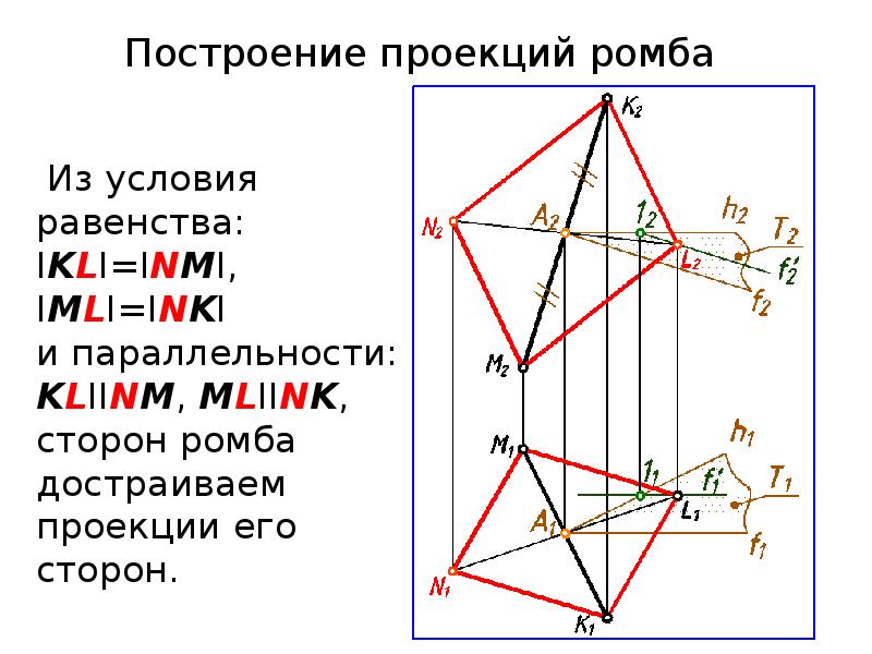 Проекция ромба