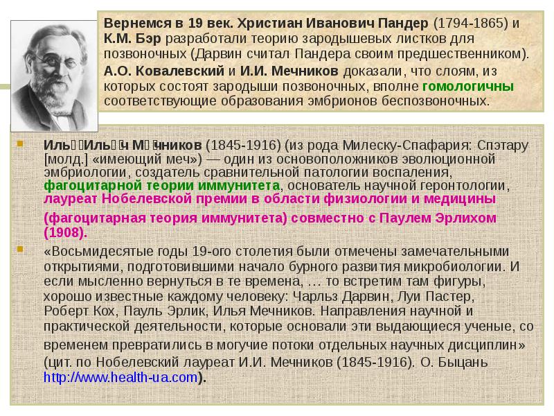 Мечников создал учение о фагоцитарном иммунитете. Основоположник фагоцитарной теории иммунитета. Мечников основоположник фагоцитарной теории иммунитета. Основные положения фагоцитарной теории иммунитета.